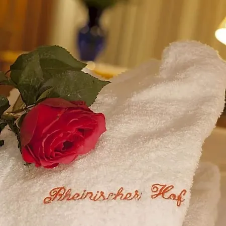 Rheinischer Hof Hotell 4*